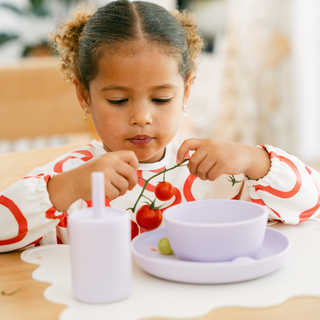 Smock Bib