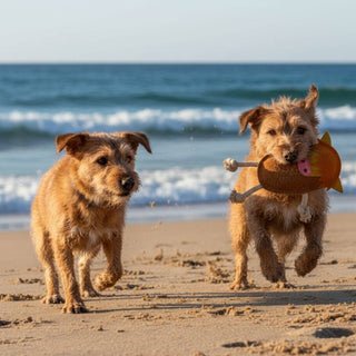 Two dogs running on a beach with ocean waves in the background, second dog is carrying Hector the Highland Cow Dog Toy in his mouth