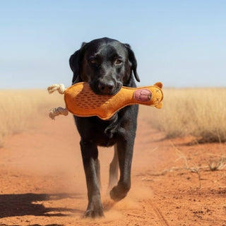 Black dog running with Baz the Bear (Orange) Dog Toy in its mouth on a dirt path.